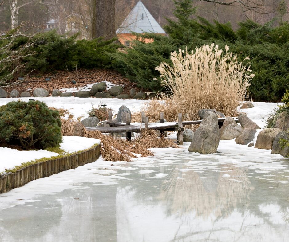 Turn Your Winter Garden into a Selling Point Turn Your Winter Garden into a Selling Point