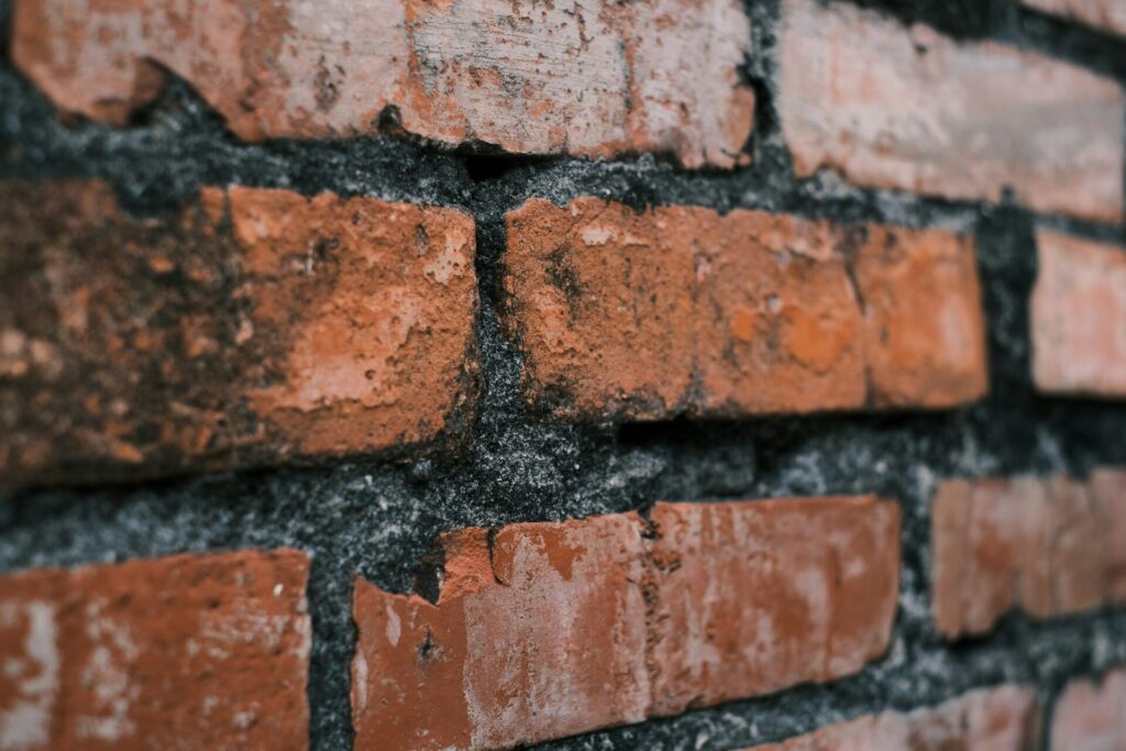 Rising Damp Worries - Learn How to beat it