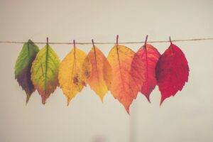 Navigating the Best Season to Sell Your Home in the Daventry & Rugby