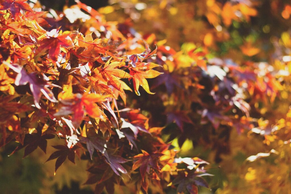 Navigating the Best Season to Sell Your Home in the Daventry & Rugby