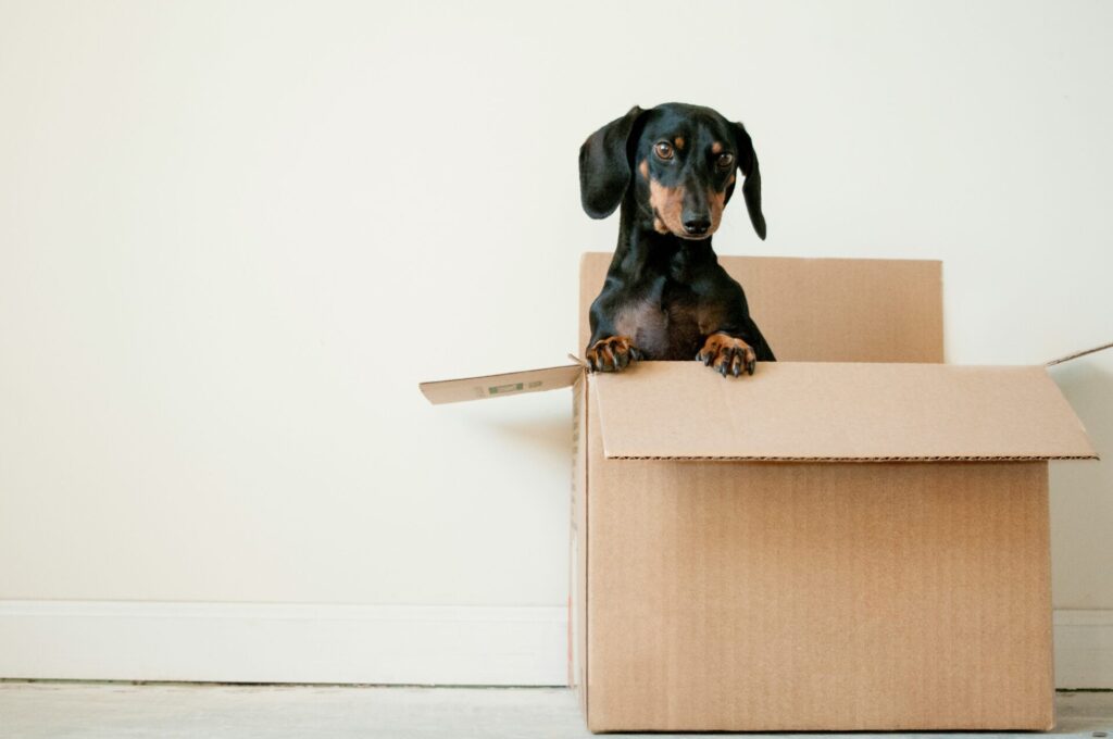 Selling a House: The Completion Day Breakdown