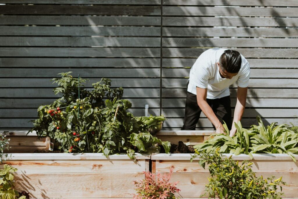 Budget Savvy Ideas for Your Outdoor Space