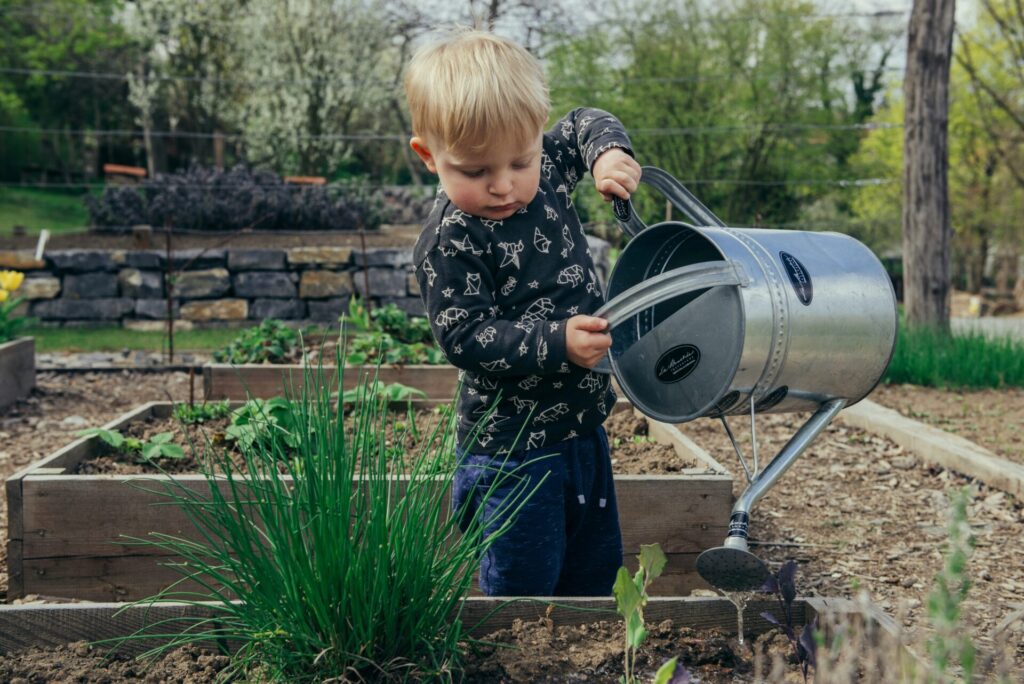 Welcome Spring with a Flourishing Lawn