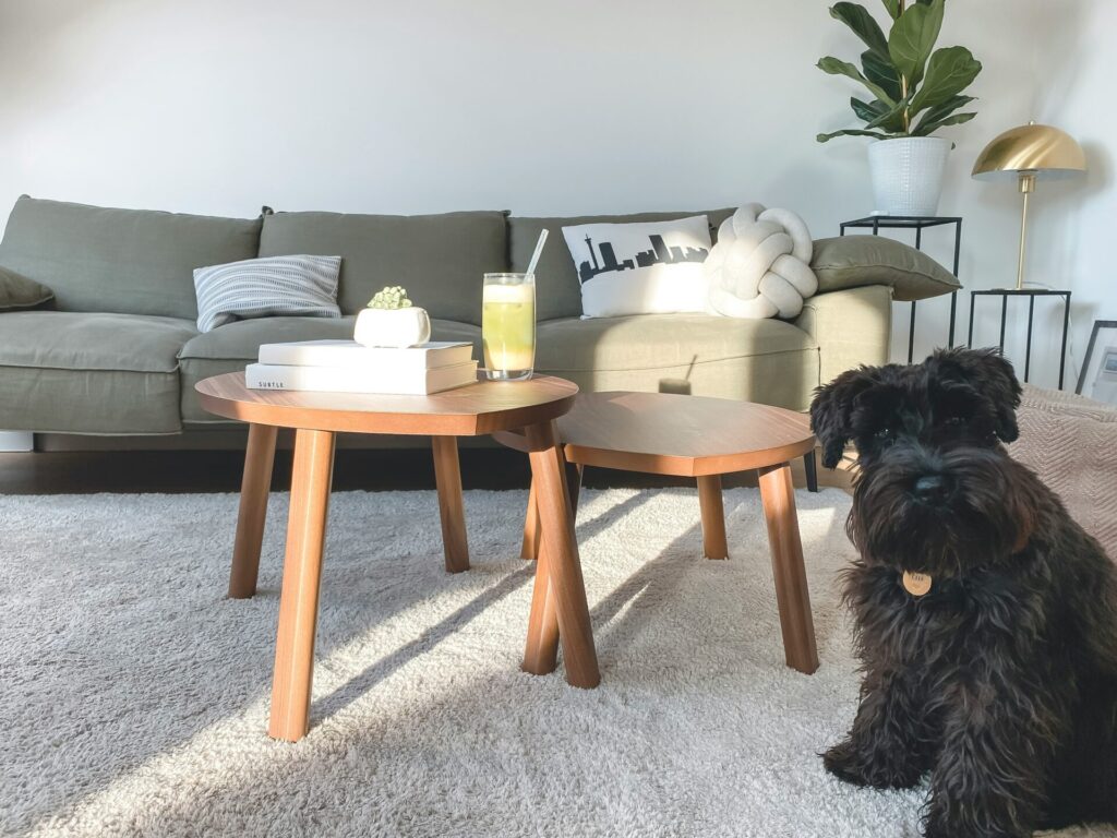 Flooring ideas for your Daventry Home