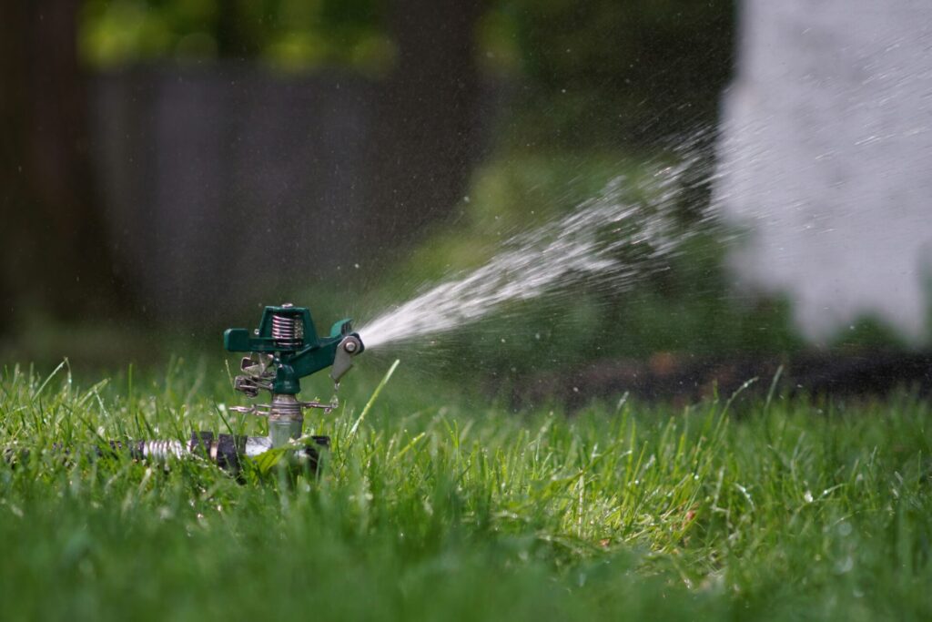 Gardening Tips for a Blooming Summer