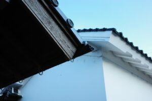 Understanding Fascias Soffits and Guttering for Home Buyers