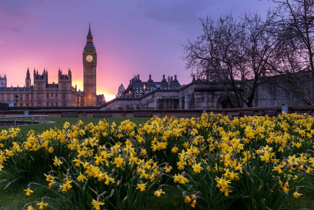 Labour Government and Potential Changes to Housing Market